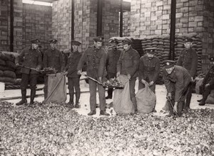 France WWI British Western Front Soldiers Bagging Onions Old Photo 1914-1918