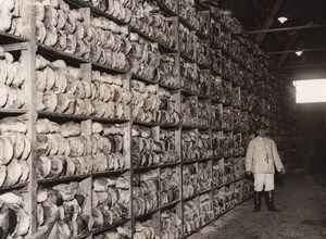 France WWI British Western Front Bread Store for Front Lines Old Photo 1914-1918
