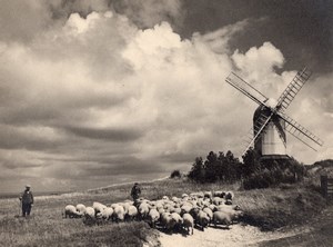British Countryside Shepherd & Sheep Windmill Clouds old Photo 1930