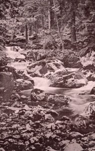 Germany Ilsenburg Ilsetal Ilsenthal Valley Mountain Stream Old Roepke Photo 1890