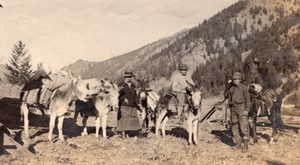 Idaho Roughing it in Mountains Group & Mules Old amateur Snapshot Photo 1916