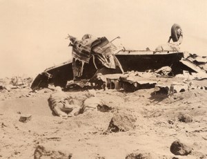 WWII Marine Corps Firing at Japs Snipers in Wrecked Plane Japan Old Photo 1945