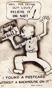 USA Man No Bull Without Backhouse Comic Real Photo Postcard RPPC 1941