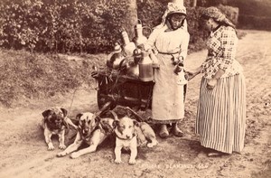 Laitiere Flamande Dairywoman Belgium? Dogs & Cart Milk Cans Old Photo 1890