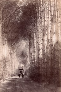 Romantic Scene Horse Carriage in Forest Road & Skipton Church 2 Old Photo 1890