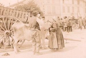 France Angouleme Market Scene Cow Old Photo H Billard 1893