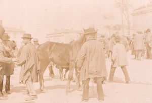 France Angouleme Market Scene Horse Old Photo H Billard 1893