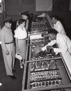 Orlando AFB US Air Force Base Supermarket Butcher Shoppers Old Photo 1960's