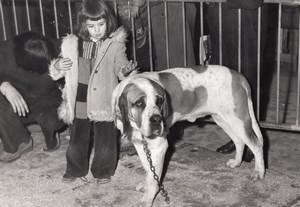 Paris Parc des Expositions Homeless Animals Christmas Dog Child Press Photo 1975