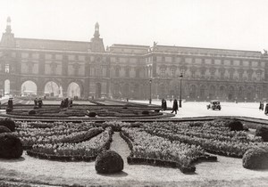 Paris Daffodil Flowerbeds Palais des Tuileries old Meurisse Photo 1930's