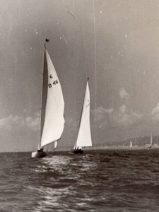France Nice? Sailboat Race? French Riviera old Paul Louis Photo 1950's