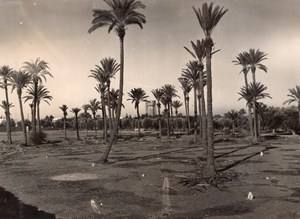 Morocco Marrakech Menara Gardens near American Base old Photo 1940's