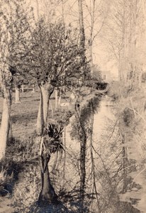 France French Countryside Trees & River or Canal old Photo 1930's