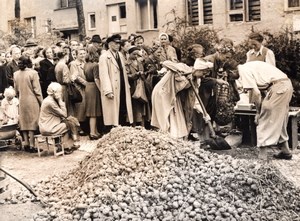 Germany Berlin Zehlendorf Queueing for Potatoes Ration old Press Photo 1945