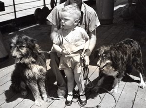 WWII Australia German Air Raid Survivor Arthur James & Dogs old Photo 1941