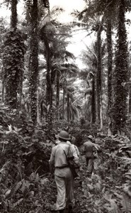 WWII Los Negros Island Australian RAAF Soldier Patrol Momote Airfield Photo 1944
