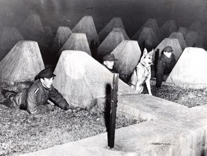 Germany Siegfried Line Awaiting Smugglers Dragon's Teeth old Photo 1953