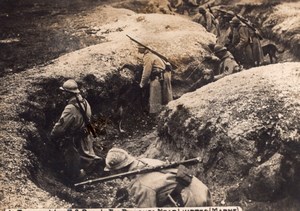 Marne At Practice with Red Cross Dogs in the Trenches near Luippes Photo 1917