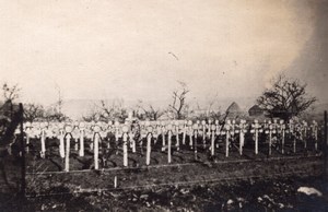 US Cemetery at Belleau Wood Graves WWI old Photo 1918