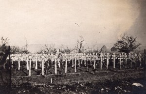 US Cemetery at Belleau Wood Graves WWI old Photo 1918