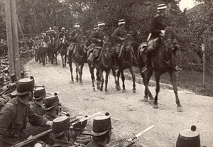 Cavalry & Infantry Horses & Bayonet Rifles WWI old Photo 1914-1918