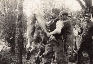 Military Butcher WWI old Photo 1914-1918