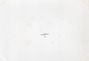 France Picardie Aviation Latham's Antoinette in Flight old Photo 1910