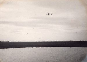 France Buc Aviation Farman Biplane in Flight old Photo 1910