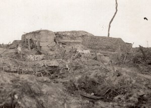 Belgium? WWI Bois 37 Blockhaus? Sergent Dupuy Old Photo 1917