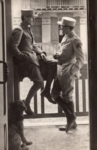 France WWI 2 Officers & Dog Posing old Photo 1914-1918