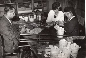 France Paris Invalides War Veteran Widow making Bleuet de France old Photo 1946