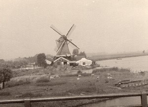 Pays-Bas Volendam Moulin a Vent Ancienne Photo Amateur 1950's