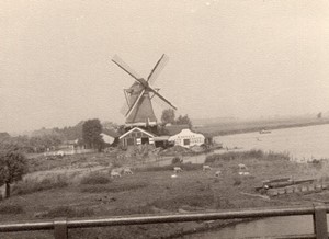 Netherlands Volendam Windmill old Amateur Photo 1950's