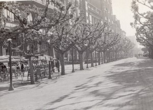 Spain Burgos Paseo del Espolón? old Amateur Photo 1950's