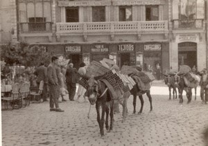 Spain Toledo Street Scene old town Donkeys Amateur Photo 1950's