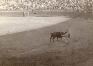 Spain Valencia Bullfighting arena old Amateur Photo 1950's #3
