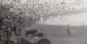 Spain Valencia Bullfighting arena old Amateur Photo 1950's #4