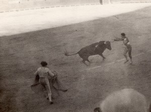 Spain Valencia Bullfighting arena old Amateur Photo 1950's #5