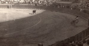 Spain Valencia Bullfighting arena old Amateur Photo 1950's #6
