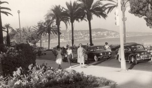 France Nice Palm Tree lined street Automobiles old Amateur Photo 1950's