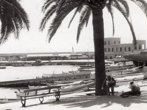 Italy Sanremo view towards the harbour Palm tree old Amateur Photo 1950's