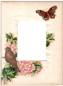 Colorful Photo Album Page 208x282mm for Cabinet Card Bird Butterfly circa 1880