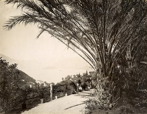 Italy Lake of Como Taken from Villa Serbelloni Old Photo Nessi 1890