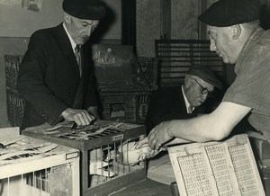 France Lille Region Pigeon Racing Fancying Contest Colombophilie Old Photo 1935