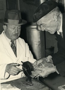 France Lille Region Pigeon Racing Fancying Contest Colombophilie Old Photo 1935