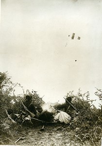 France Early Military Aviation Maneuvers Infantry Old Photo Rol 1912