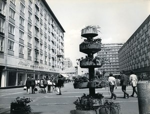 East Germany Leipzig Sachsenplatz Ceramic Planters Old Photo 1970