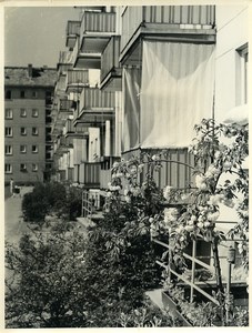 East Germany Potsdam new buildings on Wilhelm Pieck Strasse Old Photo 1966
