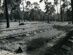 East Germany Potsdam Halbe Military Cemetery Old Photo 1965