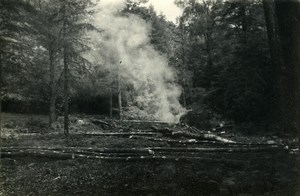 England Lake District Borrowdale Valley Forest Old Amateur Photo 1930